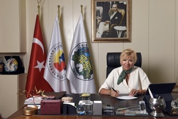 Theme Image